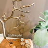 Dea Dorata Earrings Collection - LOW STOCK! - The Songbird Collection 
