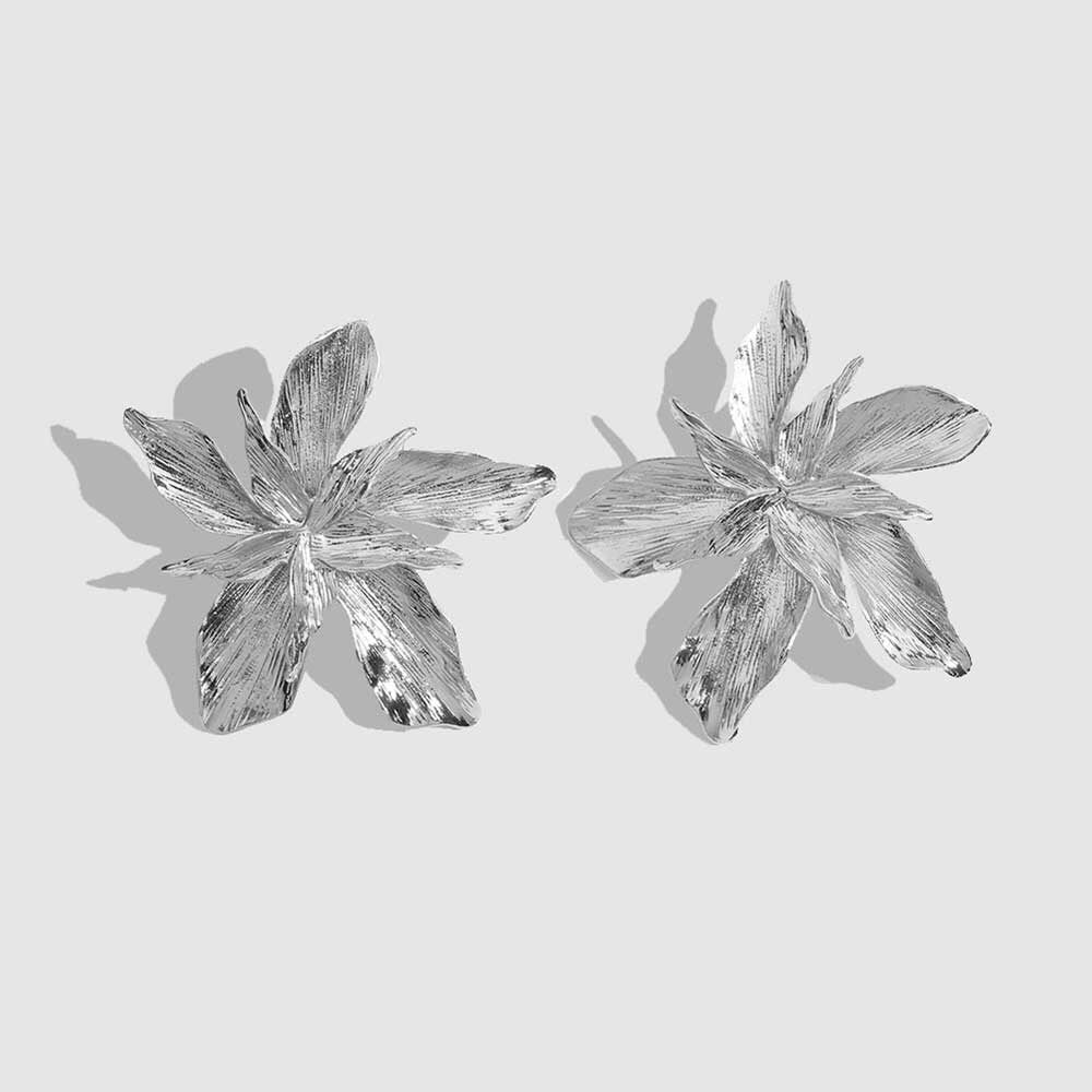 Large Silver - 2 LEFT