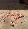 Floral Romance Earrings-Earrings-The Songbird Collection