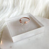 Le Papillon Double Sided Ring - The Songbird Collection 